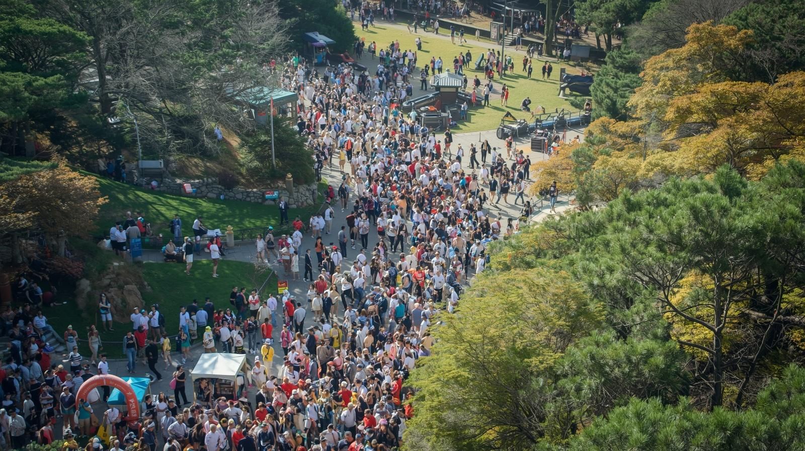 国立武蔵丘陵森林公園　混雜　GW　平日　土日　お盆　夏休み　シルバーウィーク　連休